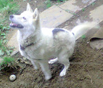CA390038.jpg